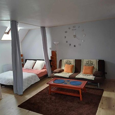 Appartement Independant Proche Paris, Roissy Cdg, Asterix, Disneyland Митри-Мори Экстерьер фото
